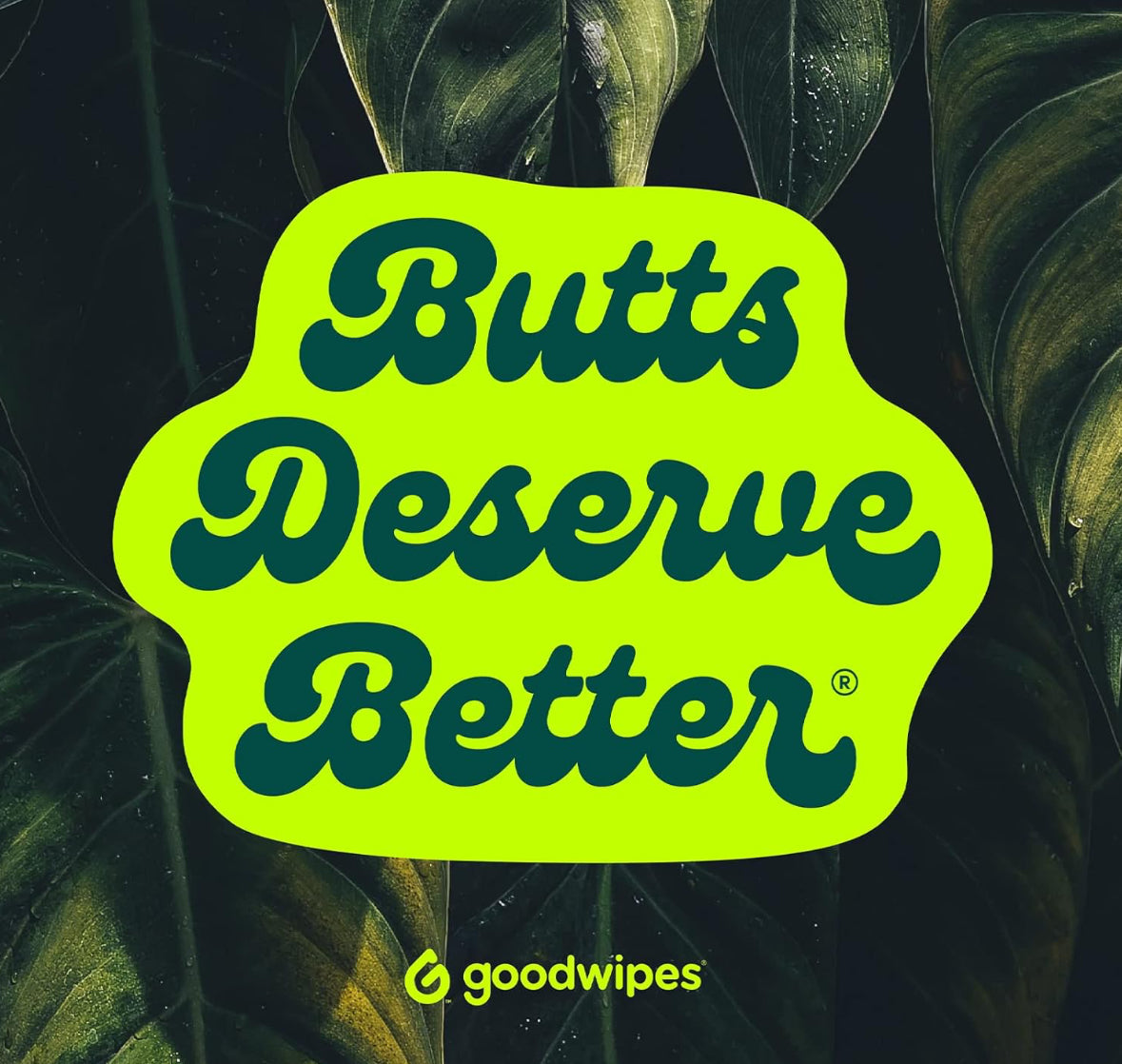 Goodwipes Flushable Butt Wipes Made with Vitamin E & Aloe - 360 Count (6 Packs)