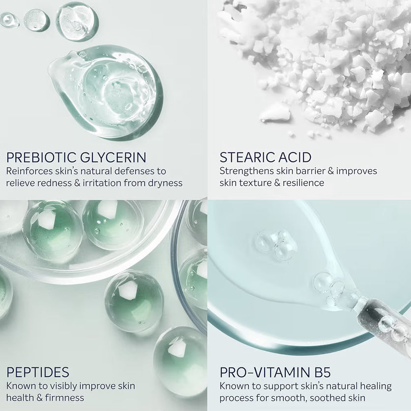 Dove Body Cream Serum Prebiotic + Protection with Pro-Vitamin B5, Stearic Acid and Peptides