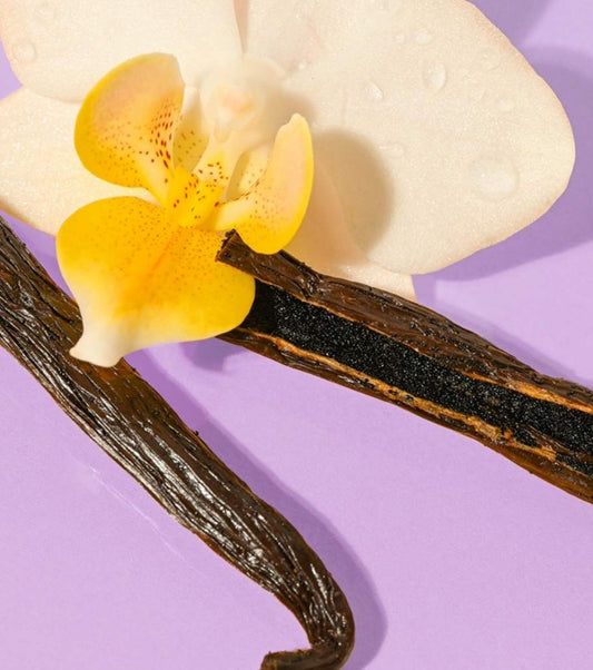 EOS Vanilla Cashmere Essentials Bundle Lotion Shower Shave