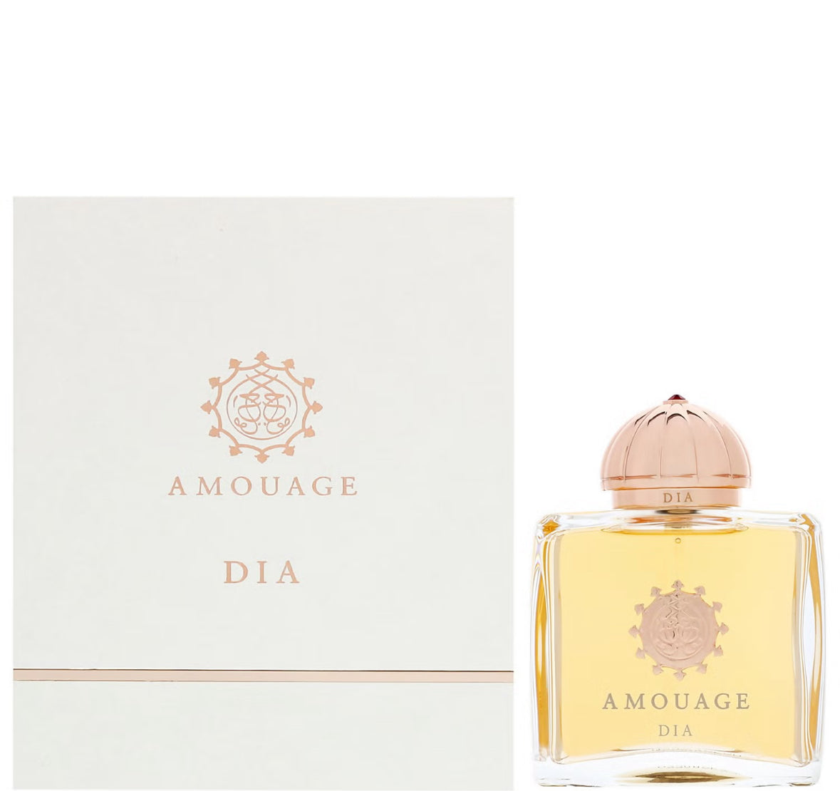 Amouage Beloved Eau de Parfum 100ml – Beauty Globe