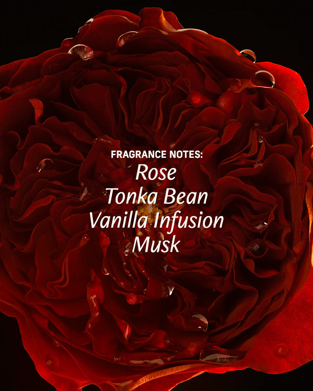 Cyklar Sex Musk Perfume Oil