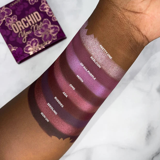Colourpop Orchid You Not Deep Purple Powder Palette