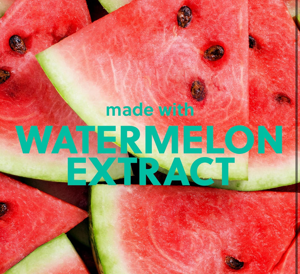 Tree Hut Sugar Lips Lip Butter Watermelon